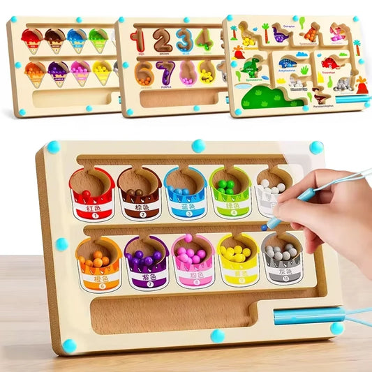 Montessori Magnetic Colour Sorting Games